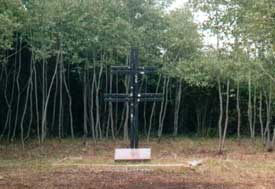 Friedhof in Woschega (abgeholzt). Stand: Juli 2005